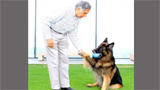 Ratan Tata’s will: unlimited care for pet dog Tito, provisions for house staff, butler